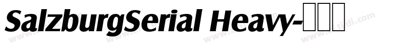 SalzburgSerial Heavy字体转换